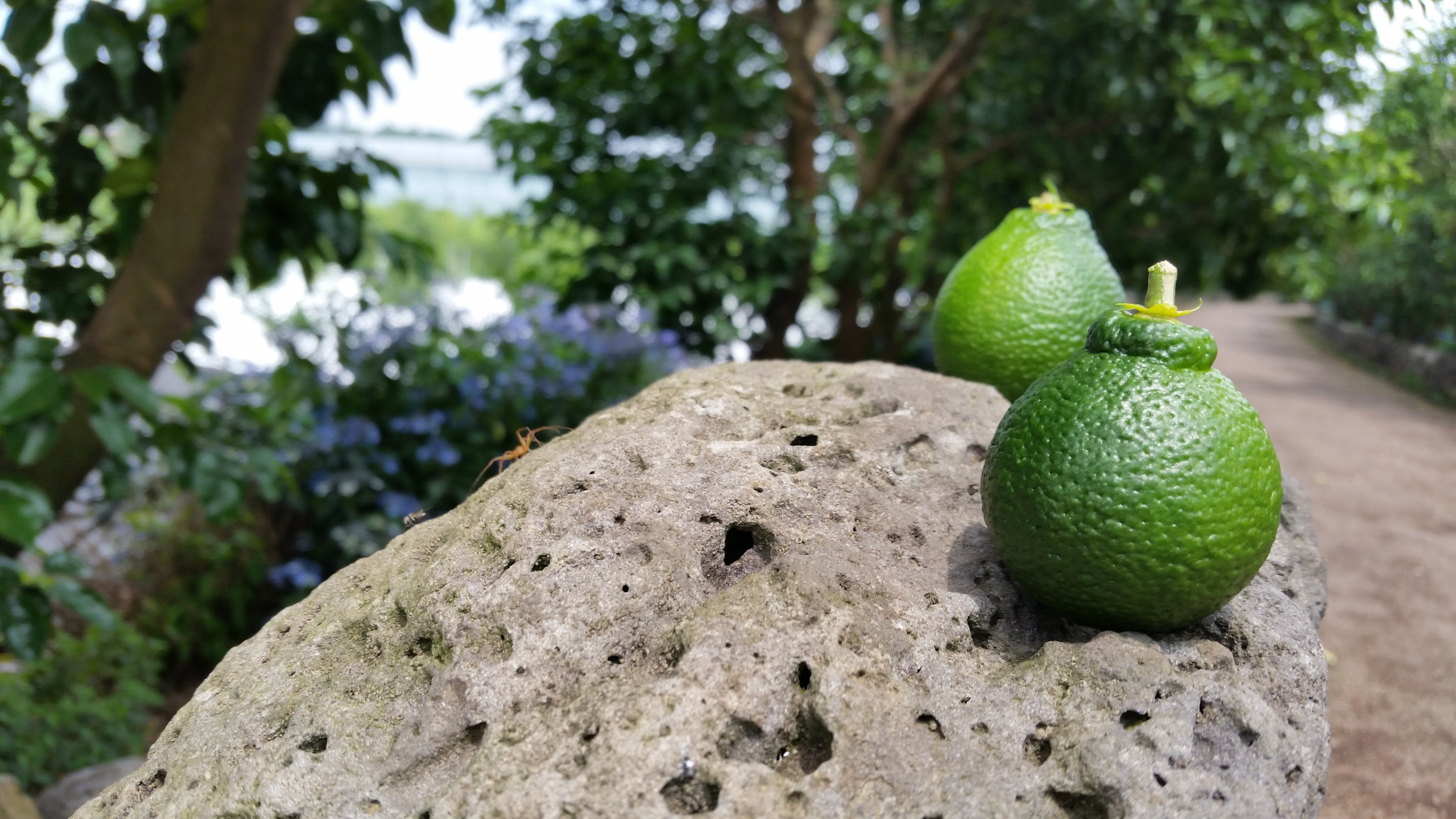 남쪽, 끝에서 쉬어가기